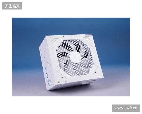 黑白双鹰，白金降临：技嘉猎鹰 冰猎鹰白金电源4月27日开售